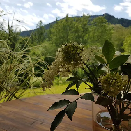 Gemuetliche Fewo Mit Balkon Und Bergblick Im Oberallgaeu, Ruhig Und Zentrumsnah Immenstadt im Allgäu Exterior foto